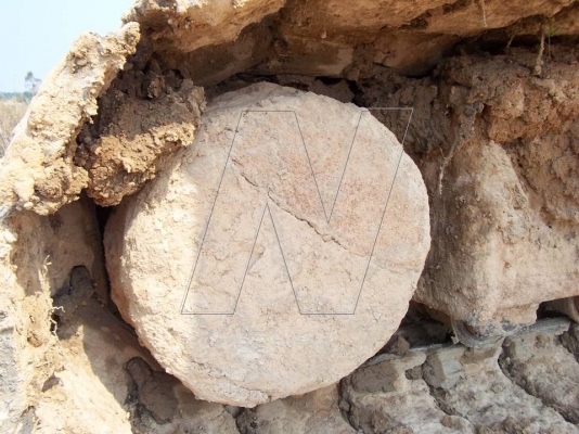 ขาย CAT 320C / เครื่อง-ปั๊มดี-ไฟฟ้าครบ / เอกสารอินวอยล์ ขาย CAT 320C / เครื่อง-ปั๊มดี-ไฟฟ้าครบ / เอกสารอินวอยล์