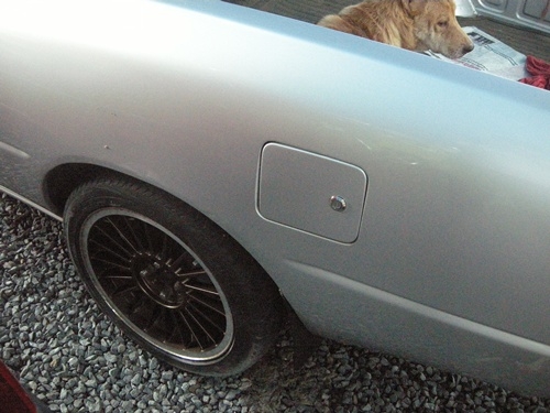 ขายด่วน นิสสัน nv ปี96 พวงมาลัยเพาว์เวอร์พร้อมใช้งาน ราคาคุยกันได้ ขายด่วน นิสสัน nv ปี96 พวงมาลัยเพาว์เวอร์พร้อมใช้งาน ราคาคุยกันได้