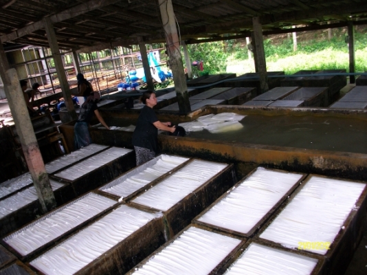 ตะกงปูน ตะกงตับ หรือตะกงชุด สำหรับทำยางแผ่น ชนิด 50 ช่อง ตะกงปูน ตะกงตับ หรือตะกงชุด สำหรับทำยางแผ่น ชนิด 50 ช่อง