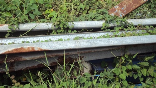 **เพิ่มรูปครับมาก**เหล็กเยอะครับ**อยู่ยุดยา**ตามรูปครับ ** ต้องการขายออกด่วน**