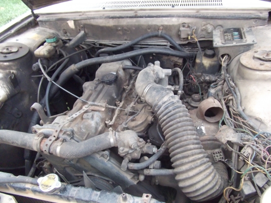 ขายกระบะเปอร์โย 504