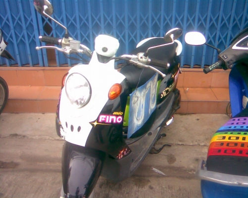 ฟีโนทะเบียน+ชุดโอน