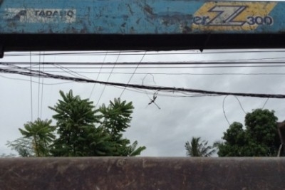 Hino Hi-Tech 6 ล้อ ปี 38 FG+เครน3ตัน. 5 เหลี่ยม ท้องV เครื่อง 210 แรงม้า กระบะยาว 6 เมตร ยางขอบ20 สภาพ 90\% เบรกจิ๊ฟฟี่ พวงมาลัยเพาเวอร์ ไฟฟ้า. สภาพพร้อมใช้. 750,000