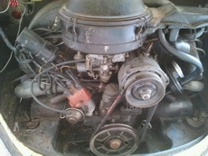 ขายเต่าวิ่งฉิว ใช้งานทุกวัน ขายเต่าวิ่งฉิว ใช้งานทุกวัน