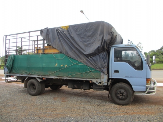 NQR66 120แรง คัชซีใหญ่ ยาว5.5ม.