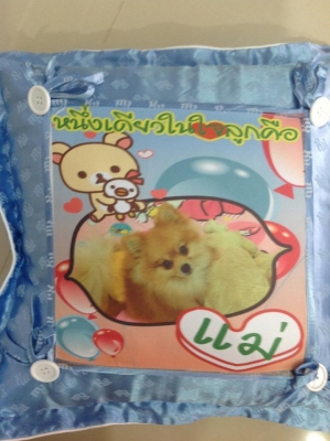 รับสกรีนภาพลงบน หมอน เสื้อ แก้ว กระเป๋าผ้า กรอบโทรศัพท์ ฯลฯ
