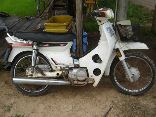 ขายดรีม