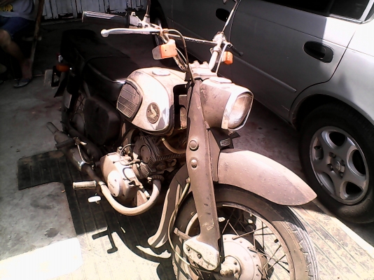---------------Honda c95 หมู------------