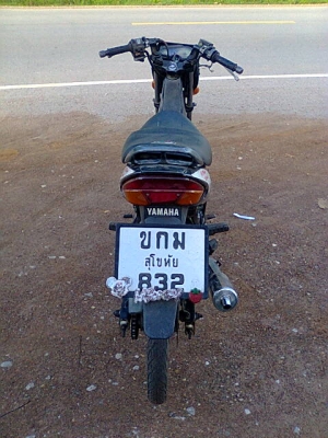 เทียรร่าปี44