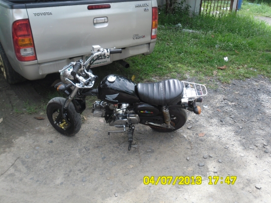 ขายลิงน้อย