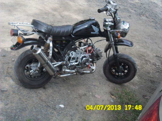 ขายลิงน้อย