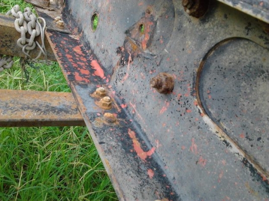 **อัพเดต รูปคัสซี ตามคำขอครับ** ขาย หัวคัสซี 6ล้อหัวยาว คัสซีใหญ่ สภาพสวยเดิมบาง ISUZU HTR 114  เครื่อง6BD1 165HPแห้งจัดฟิตจริง ไม่มีเยิ้ม ช่วงล่างแน่นเฟืองท้ายJCM คัสซีสวยใหญ่ถึงปลาย ไม่มีผุ มีบวมซับใน นิดๆหน่อยๆบางจุด (ตามรูป)  ยาง900ขอบ20 สภาพดี หัวบาง