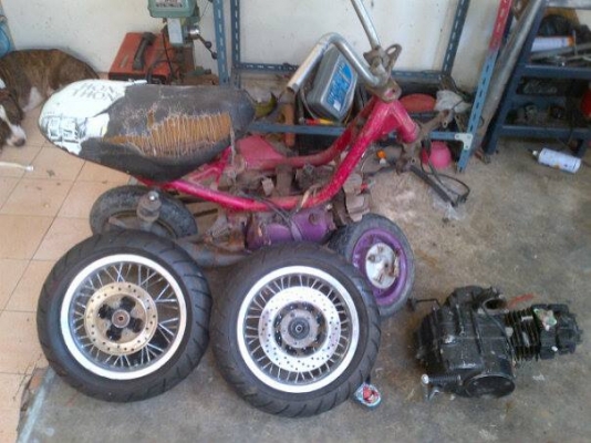 ขาย โปร เจก ชิป ปี้ เครื่อง ไทเกอร์ ล้อ 10 ขาย 9000