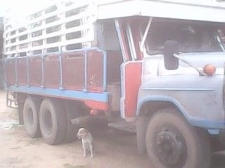 ISUZU TX 168 HP EH700 รถหัวยาวสิบล้อเพลาเดียว กระบะไม้คอกเกษตรพื้นเหล็กสภาพดีไม่มีผุกร่อน เครื่องแห้งแรงดีลงเล่มครบถูกต้อง ภายในเก๋งคอนโซลครบพร้อม พวงมาลัยเพาเวอร์ ช่วงล่างชุดเพลาและเฟืองท้ายของ HINO KT 925 สภาพดีพร้อมใช้งาน ยางสภาพดี 10 เส้นประมาณ 70\% เอ ISUZU TX 168 HP EH700 รถหัวยาวสิบล้อเพลาเดียว กระบะไม้คอกเกษตรพื้นเหล็กสภาพดีไม่มีผุกร่อน เครื่องแห้งแรงดีลงเล่มครบถูกต้อง ภายในเก๋งคอนโซลครบพร้อม พวงมาลัยเพาเวอร์ ช่วงล่างชุดเพลาและเฟืองท้ายของ HINO KT 925 สภาพดีพร้อมใช้งาน ยางสภาพดี 10 เส้นประมาณ 70\% เอ