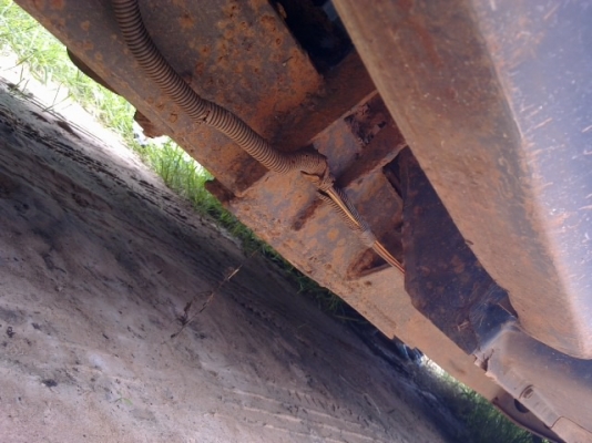 เหมารวมtfr4คัน185000รถปี 39 เปลี่ยนเครื่องเบนซิน