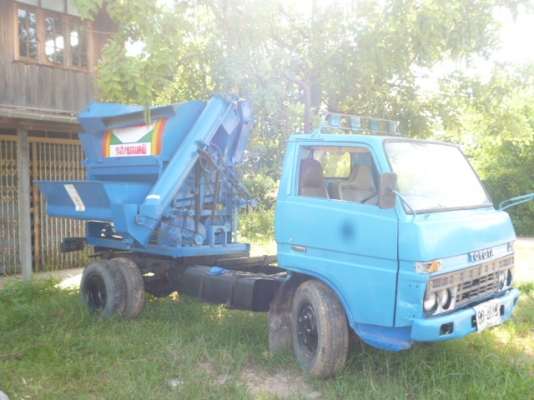 ขายต้นวดข้าว จ้าวช้าง  ขนาด6ฟูต