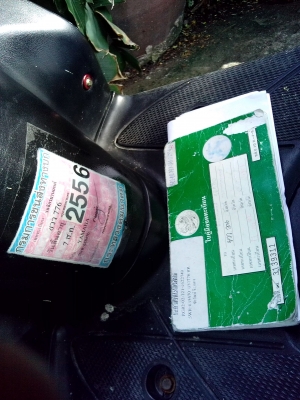 ขายมีโอแต่สวย11500