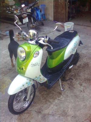 ต้องการขาย