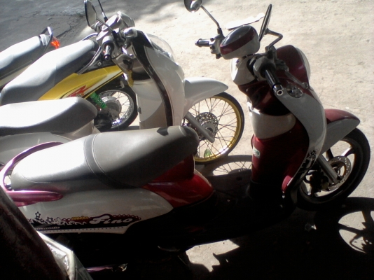 ขาย 3คัน honda 2 คัน fino 1 คัน 50000 บ.