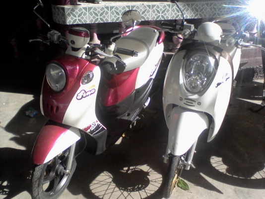 ขาย 3คัน honda 2 คัน fino 1 คัน 50000 บ.