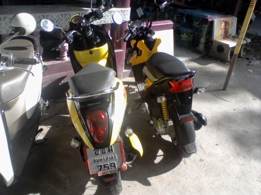 ขาย 3คัน honda 2 คัน fino 1 คัน 50000 บ.