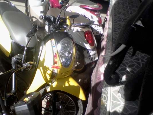 ขาย 3คัน honda 2 คัน fino 1 คัน 50000 บ.