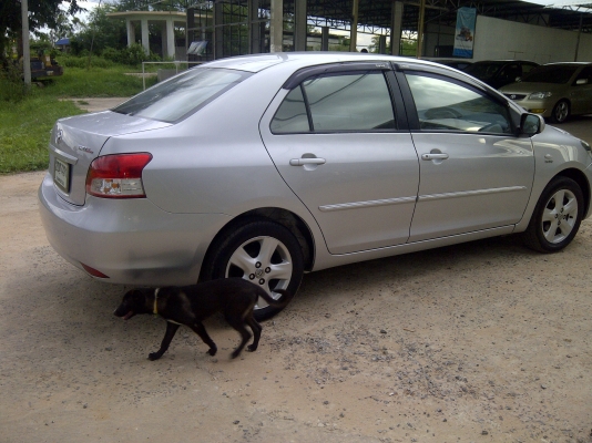 ขายถูกรถสวยพร้อมใช้งาน