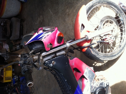 ขายโนวาแดช มีเล่มพร้อมโอน ราคา 5500 บาท ขายโนวาแดช มีเล่มพร้อมโอน ราคา 5500 บาท