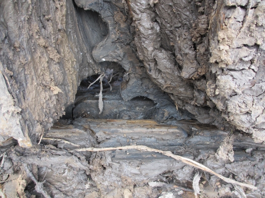 PC100-5 รถเก่าในขายตามสภาพ ราคาต่อรองได้ อยากขายมาก