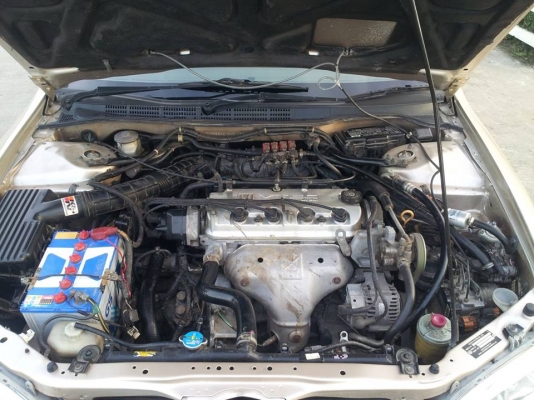 งูเห่าปี02 เครื่อง วีเทค เดิม ตัวท๊อป เบาะหนังปรับไฟฟ้า ม่านหลัง LPGหัวฉีด ลงเล่มแล้ว ราคาต่อรองได้คับ