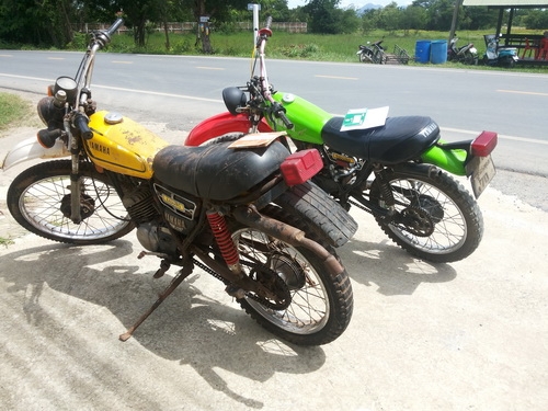 ขายdt100แพ็คคู่ครับ