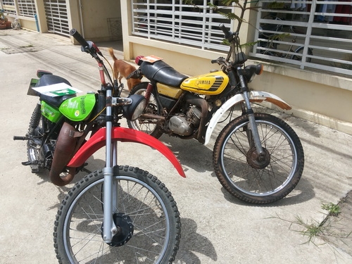 ขายdt100แพ็คคู่ครับ