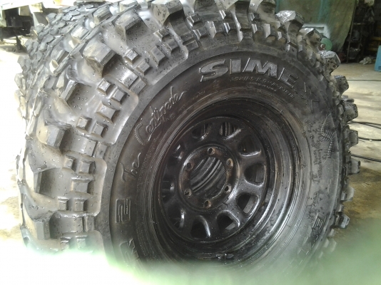 ขายตะขาบ 1 ฝูง 4 ตัว ขายตะขาบ 1 ฝูง 4 ตัว