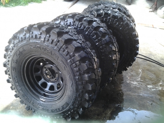 ขายตะขาบ 1 ฝูง 4 ตัว