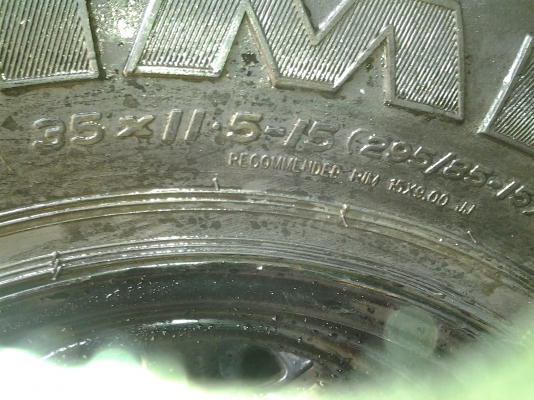 ขายตะขาบ 1 ฝูง 4 ตัว ขายตะขาบ 1 ฝูง 4 ตัว