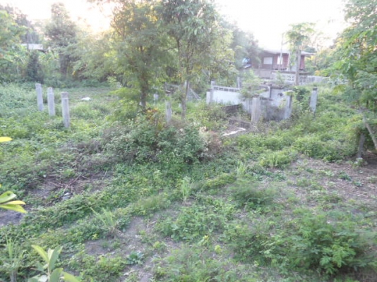 ขายที่ดิน 2 งาน 25 ตารางวา จังหวัดเชียงราย ขายที่ดิน 2 งาน 25 ตารางวา จังหวัดเชียงราย