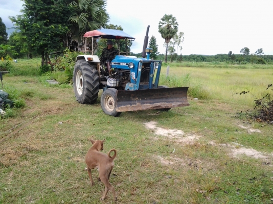 ขายแทรกเตอร ์ฟอร์ด ทะเบียนพร้อมโอน ขายแทรกเตอร ์ฟอร์ด ทะเบียนพร้อมโอน