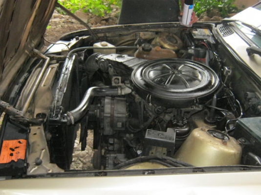 BMW, E30 สวยๆเดิมๆพร้อมขับแอร์เย็น39500 BMW, E30 สวยๆเดิมๆพร้อมขับแอร์เย็น39500