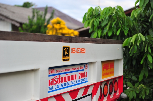 ขายด่วน สาลี่