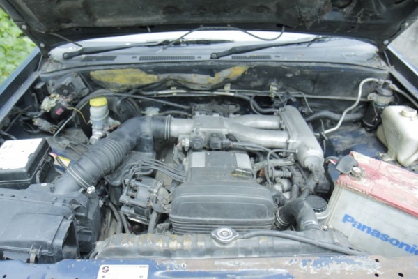 ขายมังกรหน้าย่อย ปี96