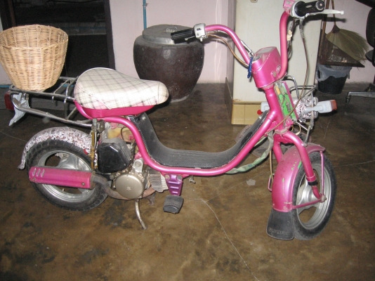 อีป๊อปโบราณหายากมากแล้วทรงชาลีสีน่ารักบาดใจ