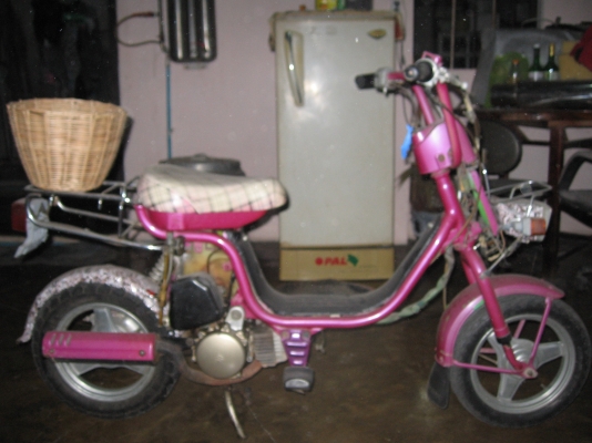 อีป๊อปโบราณหายากมากแล้วทรงชาลีสีน่ารักบาดใจ