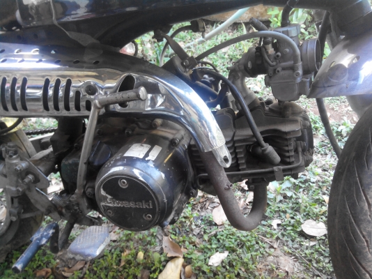 ขาย กอลิล่า เครื่่อง kawasaki cheer 125