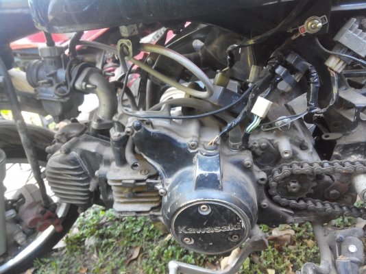 ขาย กอลิล่า เครื่่อง kawasaki cheer 125