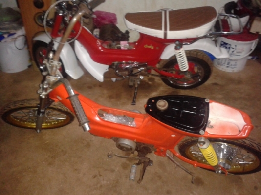 ชาลีแต่งสวย