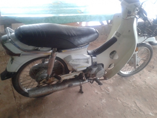 ดรีมคุรุสีขาวแท้เดิมๆ