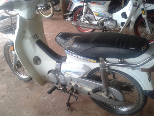 ดรีมคุรุสีขาวแท้เดิมๆ