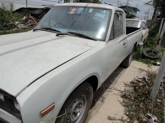 ขายช้างเหยียบถูกๆ