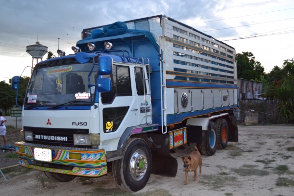 มิตซู  ฟูโซ่ turbo FN 527 TF3661