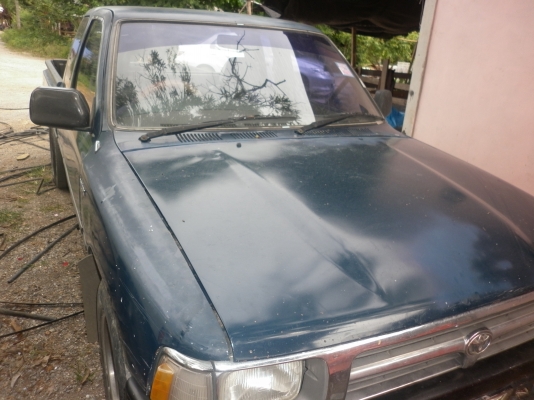 ขายไมตี้ ปี 91     90000